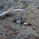 Image for article titled These 500,000-Year-Old Tools Still Contain Traces Of Animal Fat
